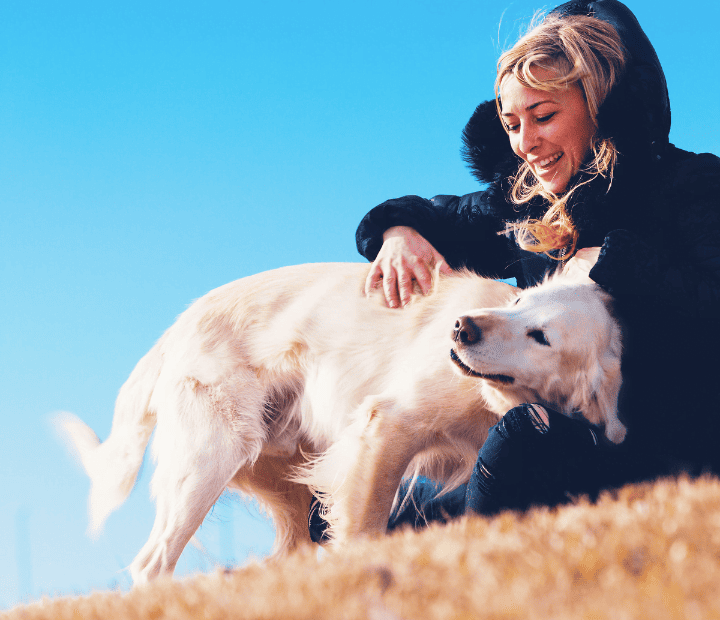 Descifrando el Apego en Perros: Claves para una Relación Especial