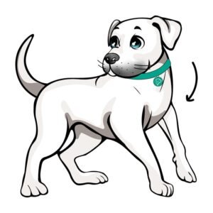 Sesión de Enriquecimiento Ambiental  en Escuela Selva