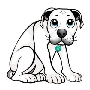 Sesión Individual para Perro Reactivo, con Miedos o Fobias en Escuela Selva