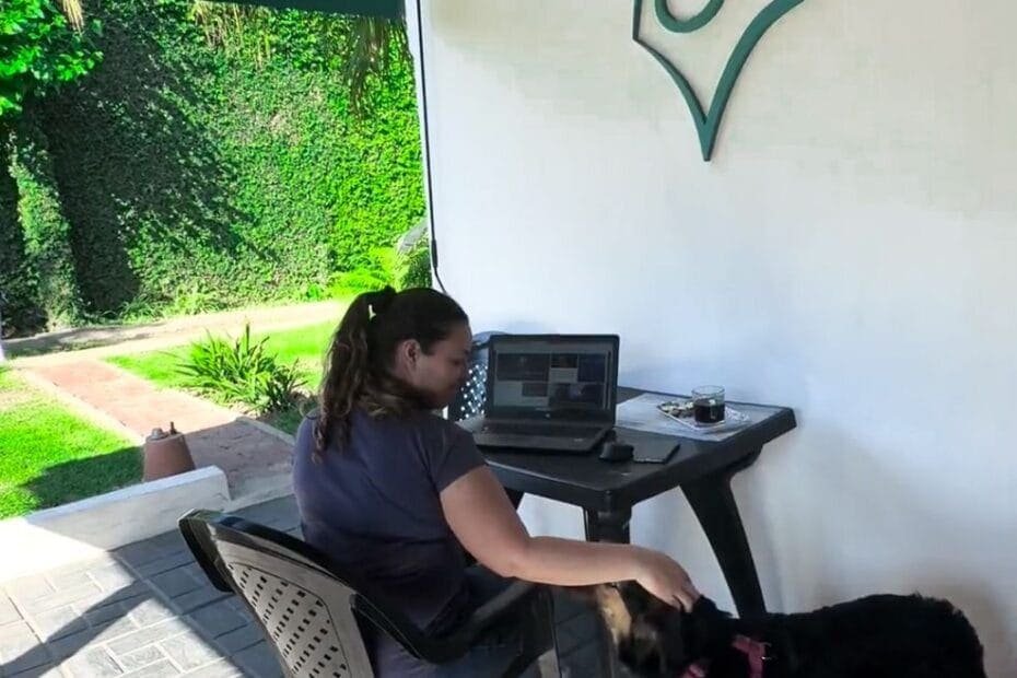 El Mejor Coworking en AMBA y CABA para Trabajar con Tu Perro