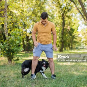 curso-educador-canino-selva-nivel-1
