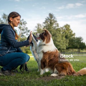 curso-educador-canino-selva-nivel-2
