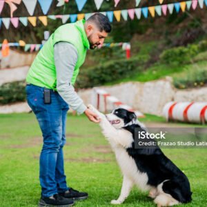 curso-educador-canino-selva-nivel-3